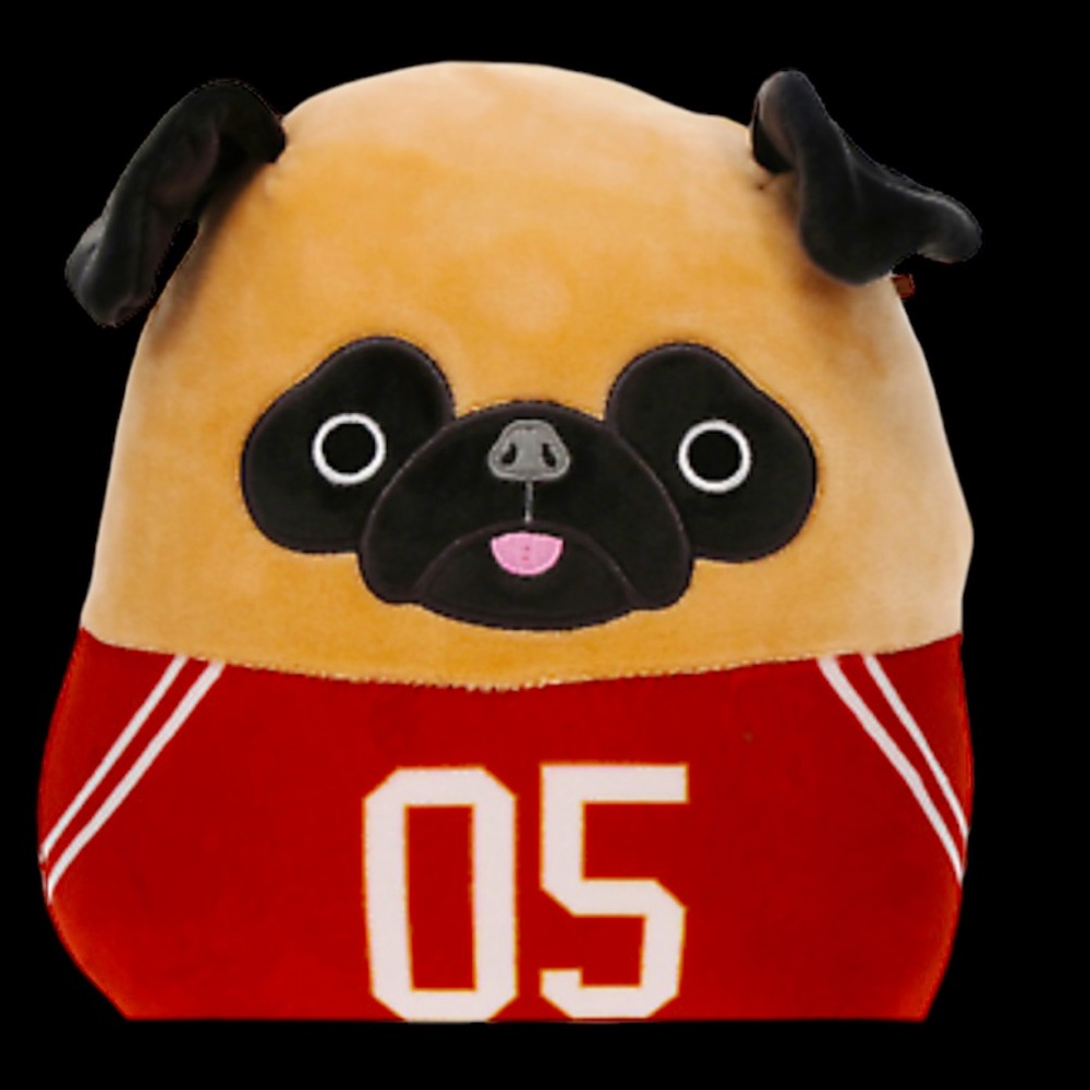 Authentic‎ Squishmallow Pug Prince 05